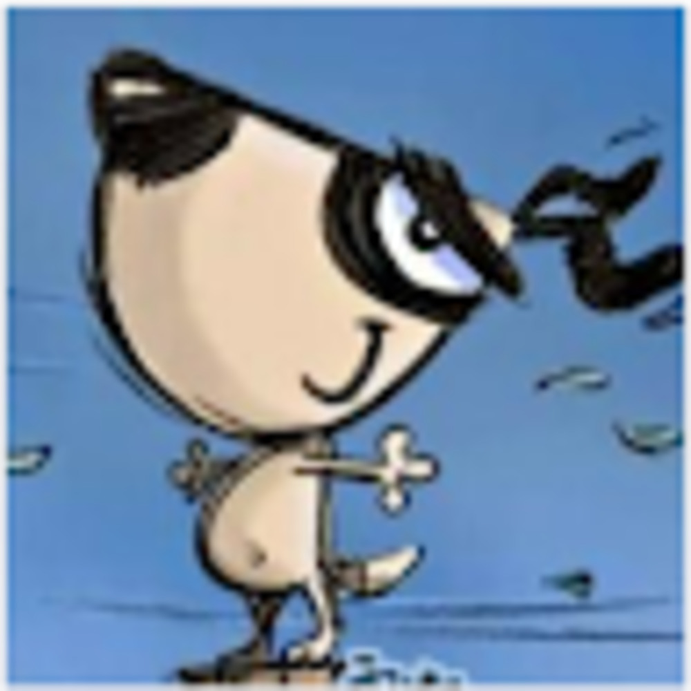 Meet your Posher, Judy